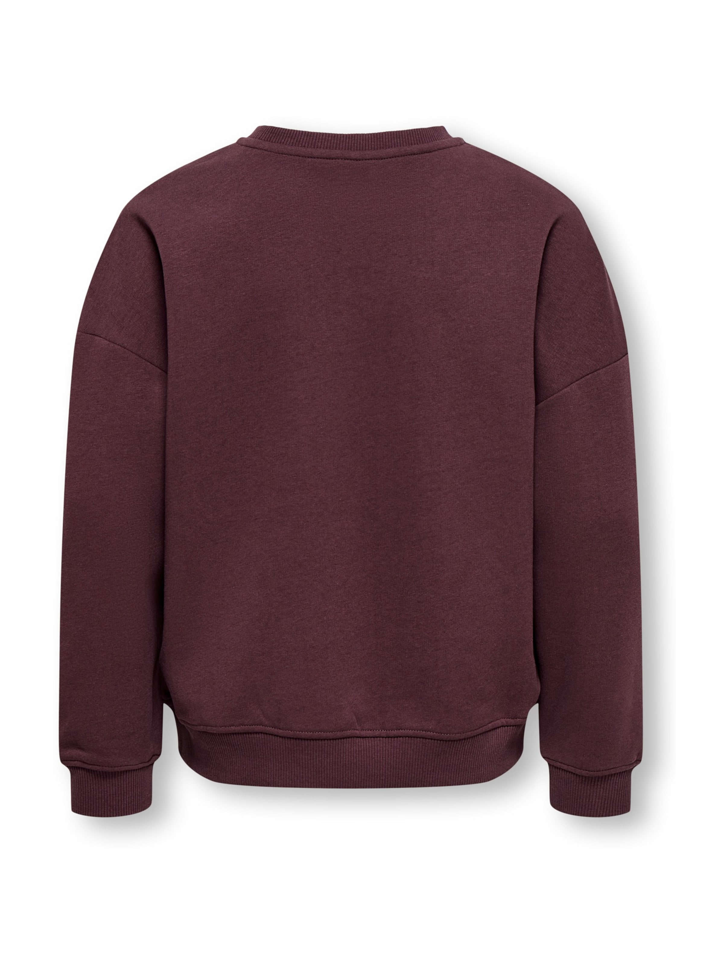 ONLY GIRLS Sweatshirt 'KOGBILA' in Brown