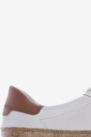 ARA Sneaker 40,5 in Weiß