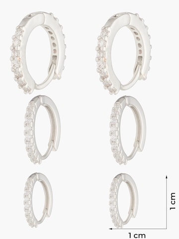 ALDO Earrings 'UNIAWEN-E' in Silver