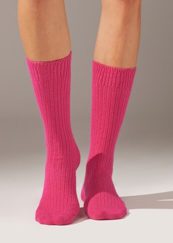 CALZEDONIA Socken in Pink: predná strana
