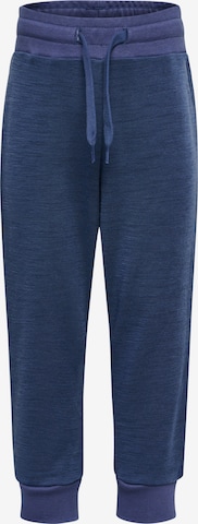 Hummel Hose in Blau: Vorderseite