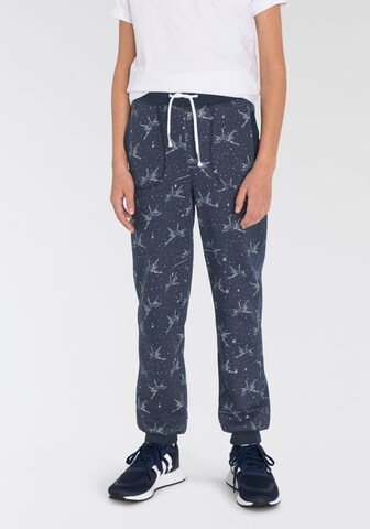 SCOUT Regular Pants in Grey: front