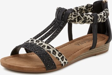 LASCANA Sandalen met riem in Zwart: voorkant