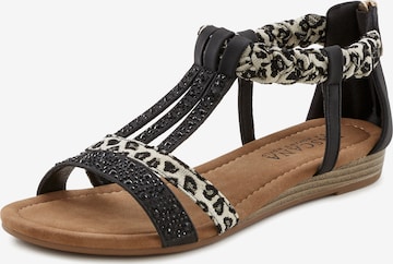 LASCANA Sandalen met riem in Zwart: voorkant