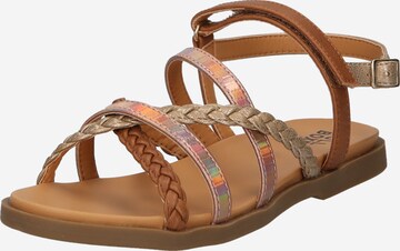 BULLBOXER Sandal in Brown: front