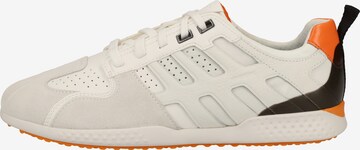 GEOX Sneakers in White: front