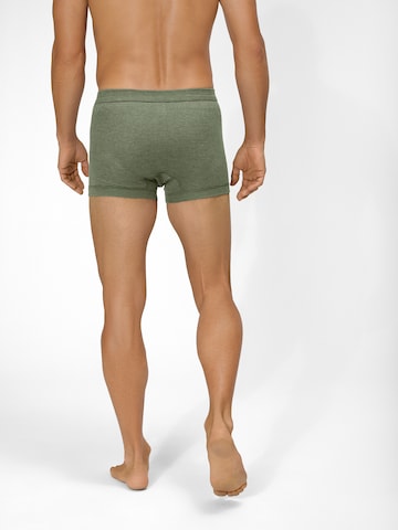 Ammann Boxer shorts ' 170 Jeans ' in Green