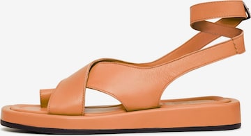 CESARE GASPARI Sandals in Orange: front