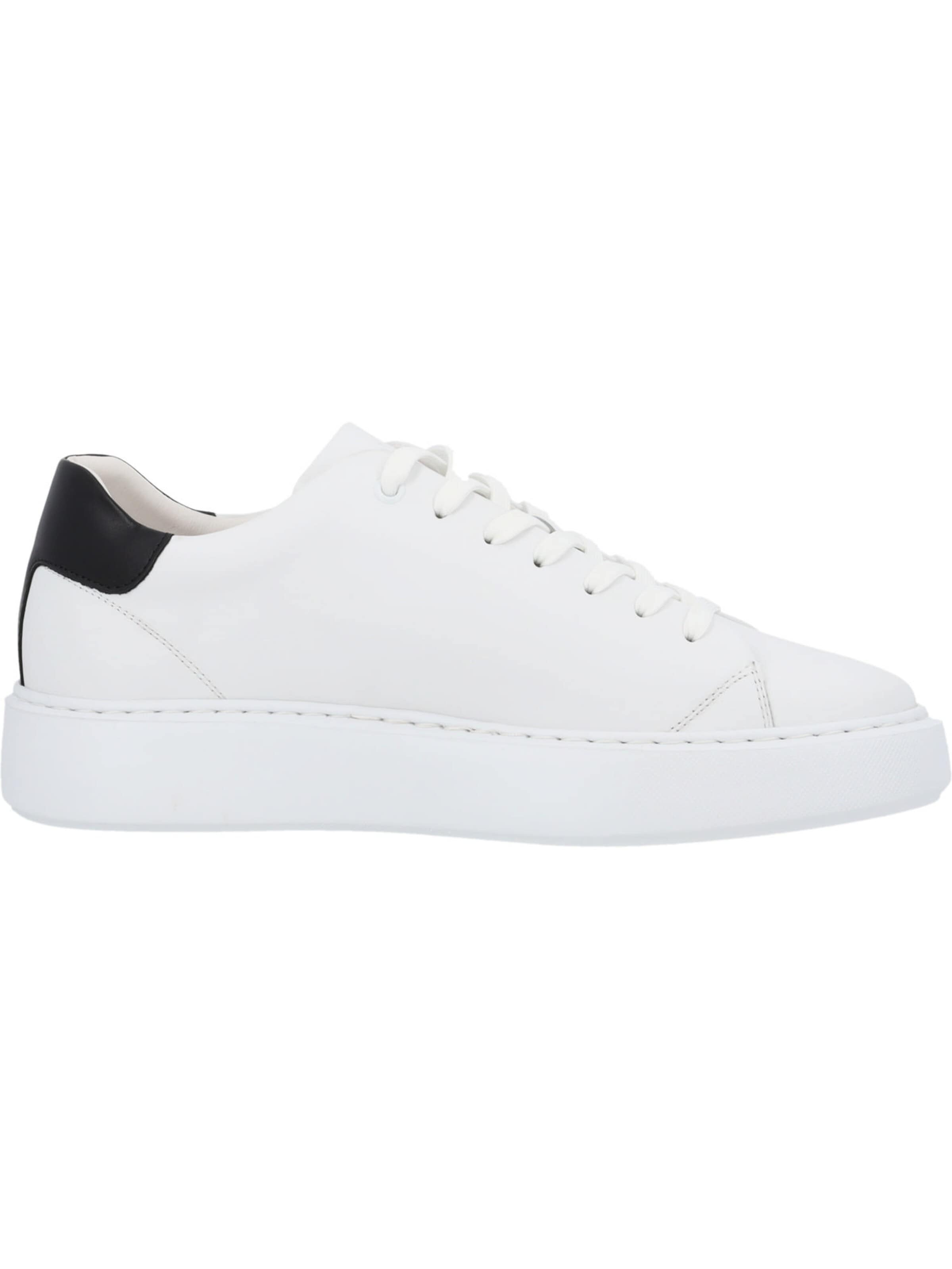 Palado Sneaker low 'Zylran'‌‌‌‌‌ in Weiß