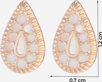 FOSSIL Earrings in Gold