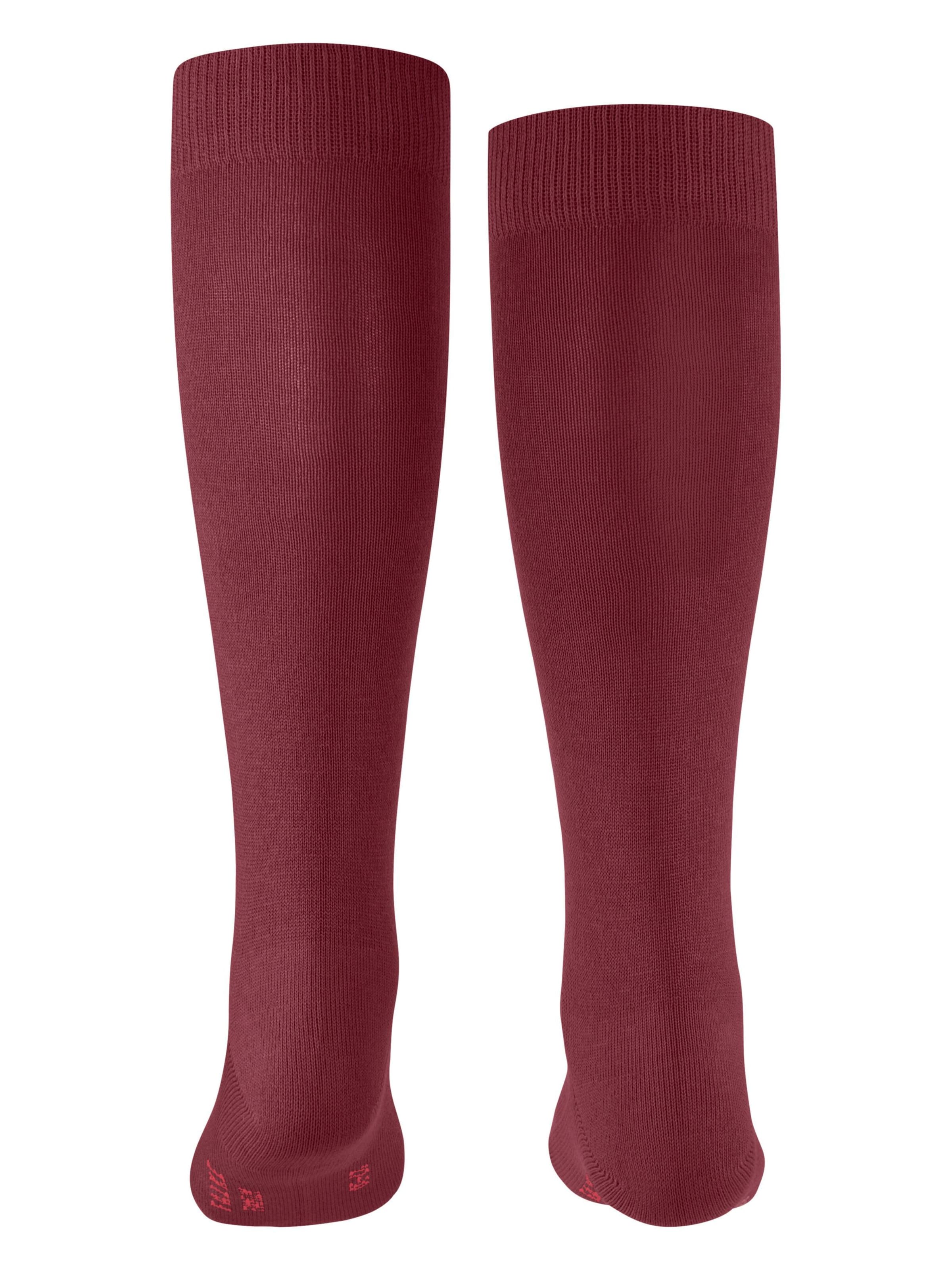 FALKE Socks 'Family' in Red