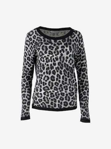 Passioni Pullover in Grau: Vorderseite