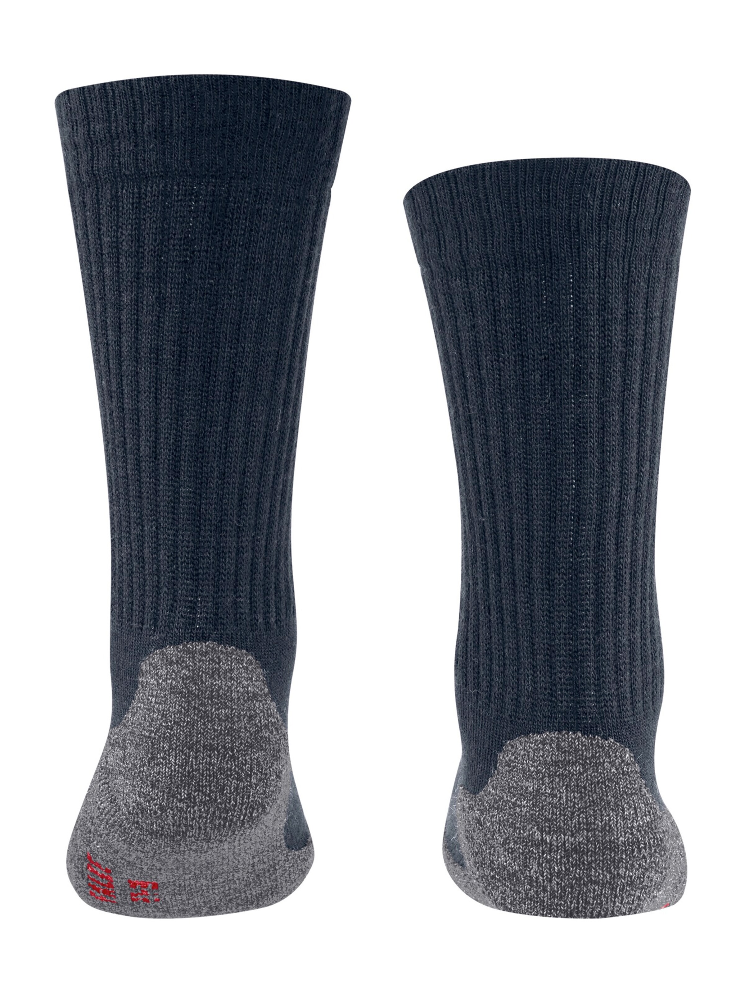 FALKE Spordisokid, värv sinine