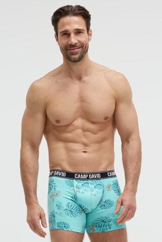CAMP DAVID Boxer shorts in Mixed colors