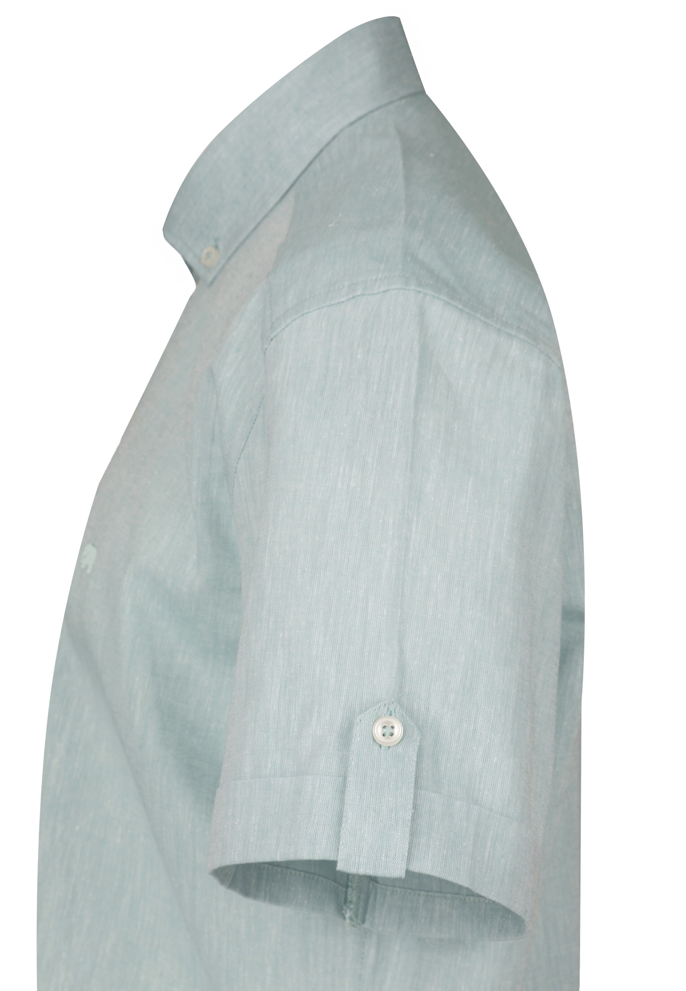 Coupe regular Chemise Jimmy Sanders en vert