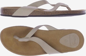 SCHOLL Sandals & High-Heeled Sandals in 41 in Beige: front