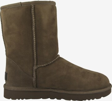 UGG Boots 'Classic' in Braun