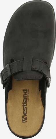 Westland Clog in Schwarz