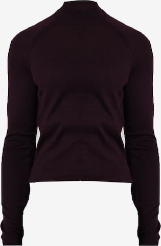 raudona Antioch Megztinis: priekis