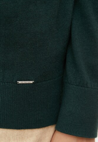Finn Flare Langarmpullover 'Basic' in Grün