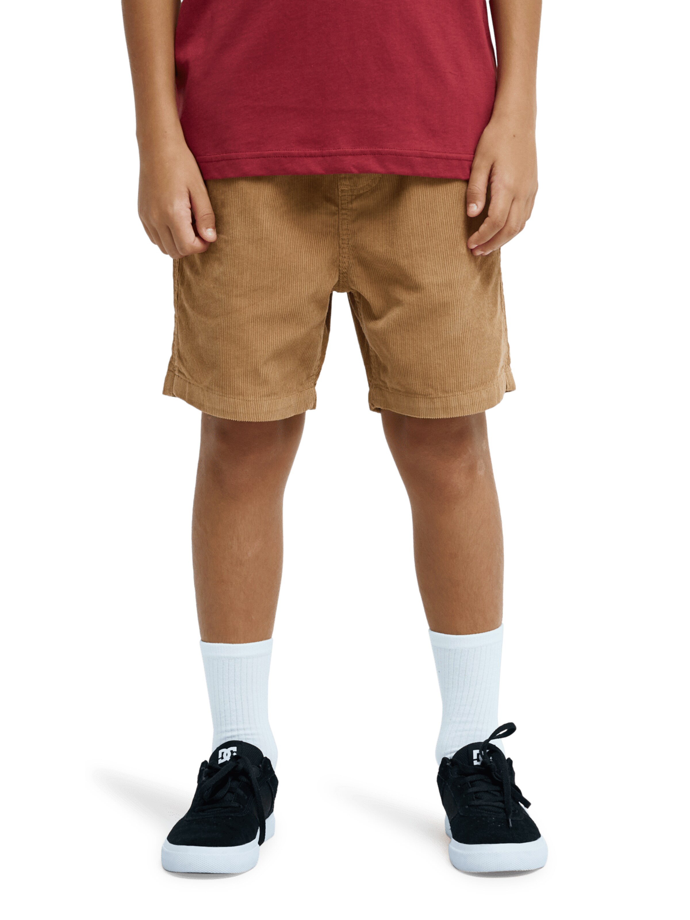 QUIKSILVER Pants 'Taxer' in Brown: front