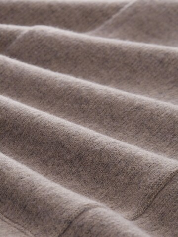 TOM TAILOR Rok in Beige