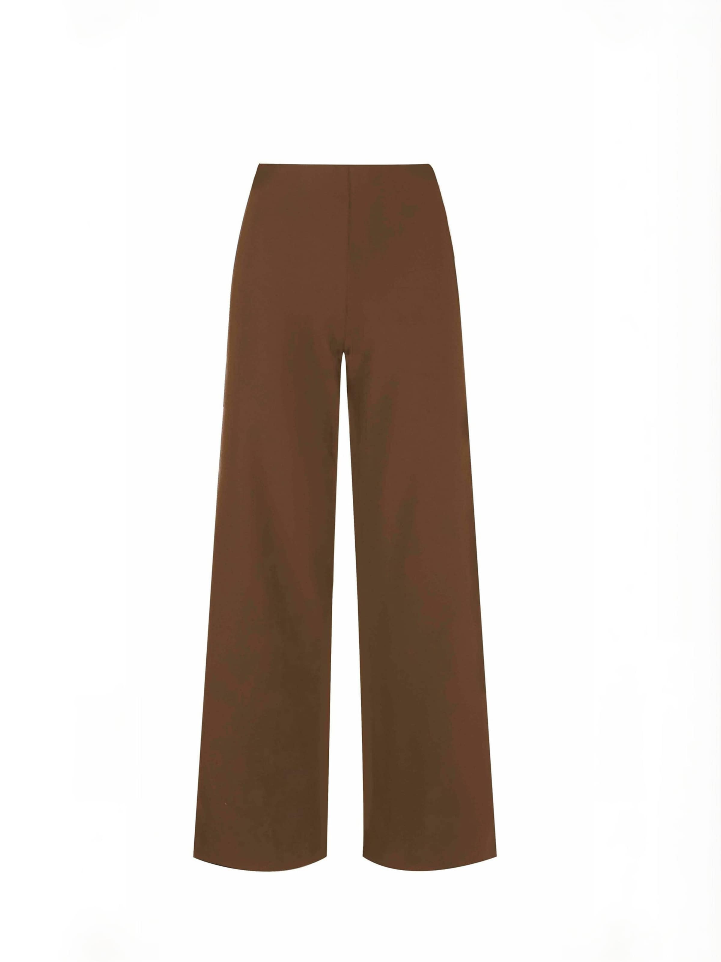 Pantalon ' HENNE ' Liberte Essentiel en marron : devant