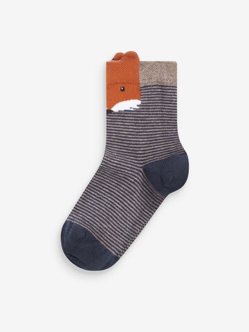 Next Socken in Braun