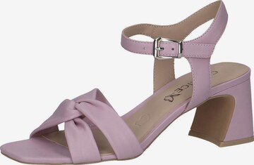 CAPRICE Strap Sandals in Pink: front