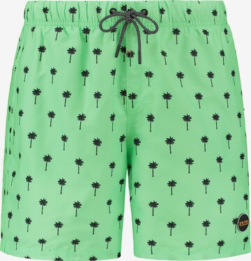 Pantaloncini da bagno 'PALM' di Shiwi in verde: frontale