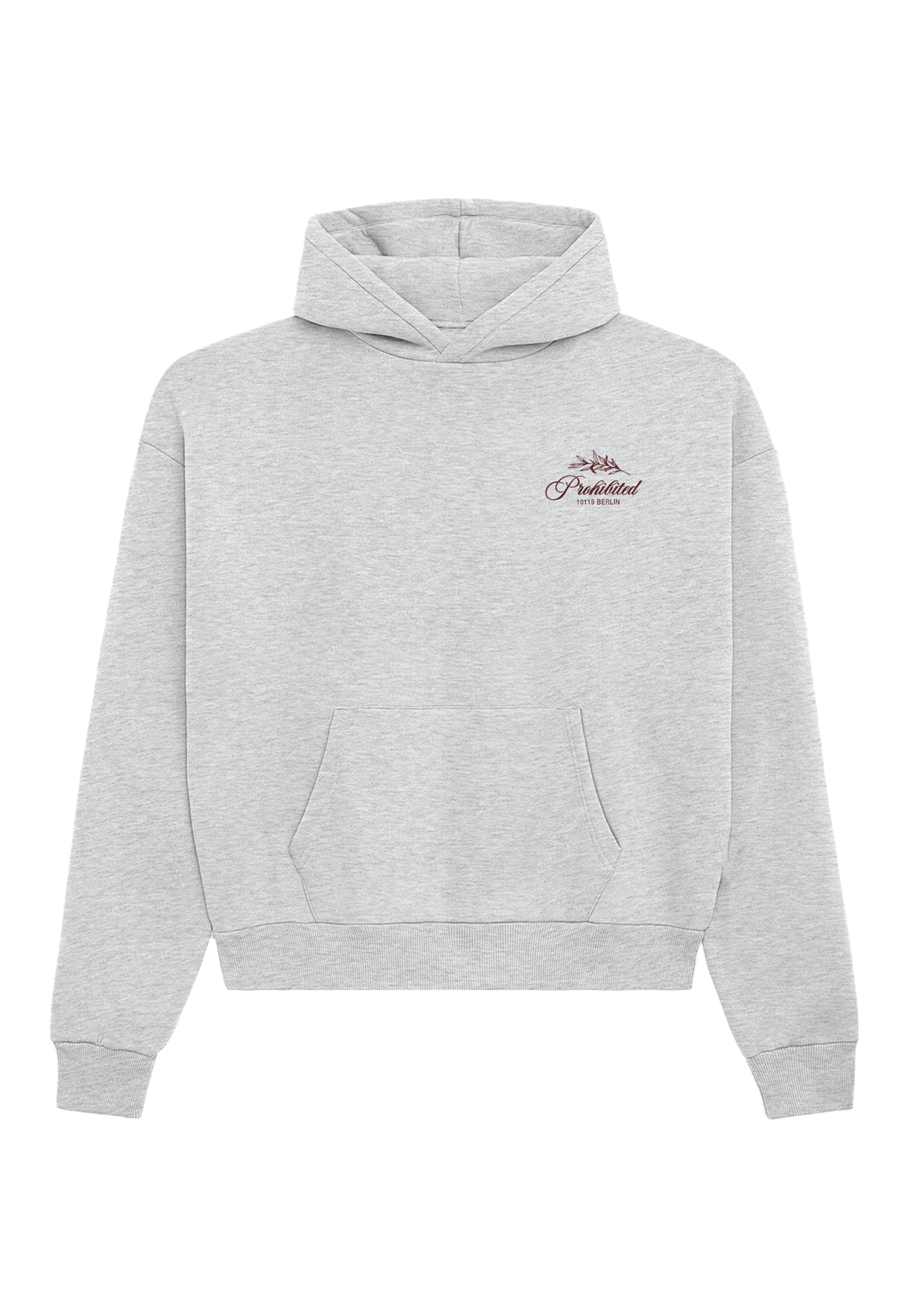 Prohibited Sweatshirt 'Leaf' in Grey: front