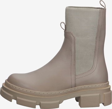 ILC Chelsea Boots in Beige