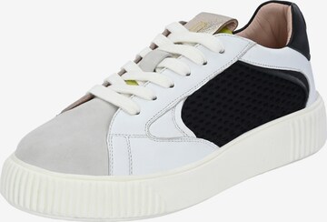 Crickit Sneakers laag ' OTIS ' in Gemengde kleuren: voorkant