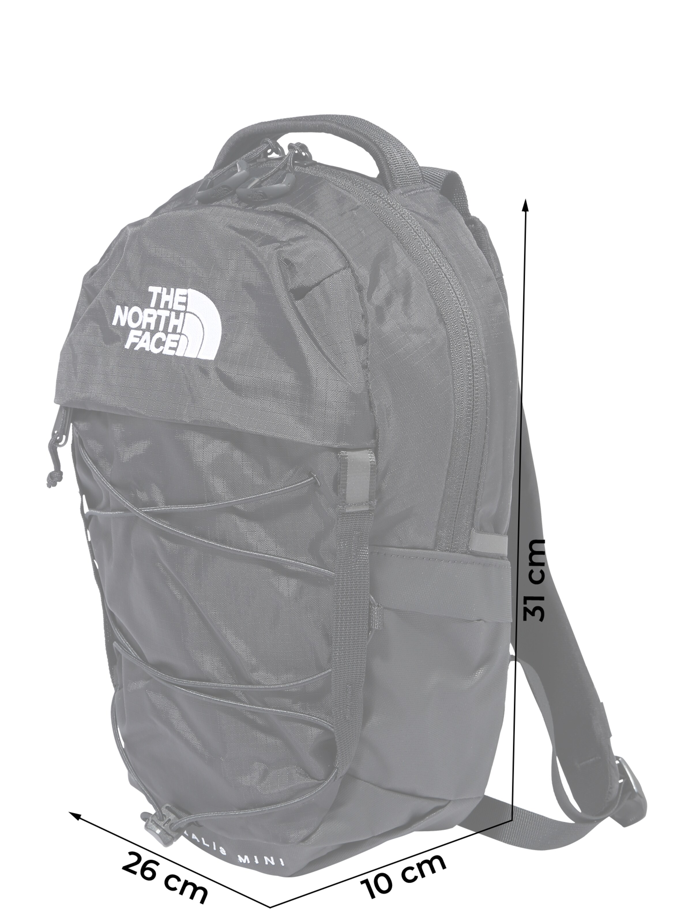 THE NORTH FACE Backpack 'Borealis' in 