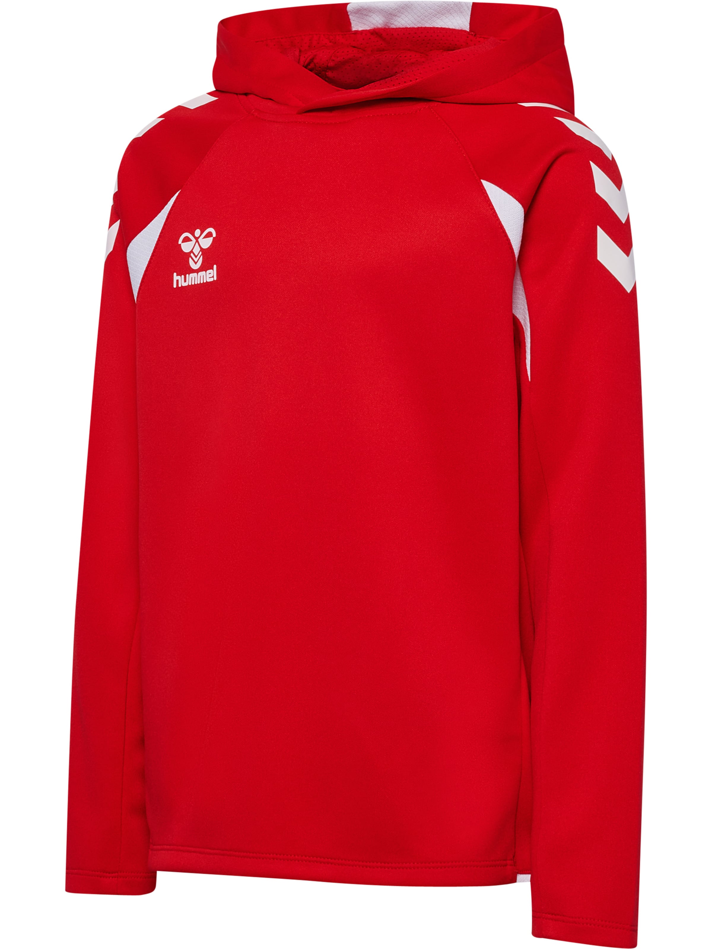 Hummel Sports sweatshirt 'Core 2.0' in Red