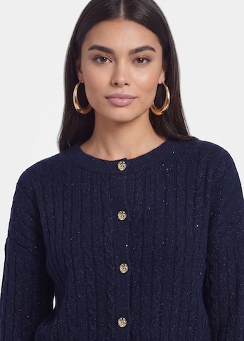 faina Gebreid vest in Blauw