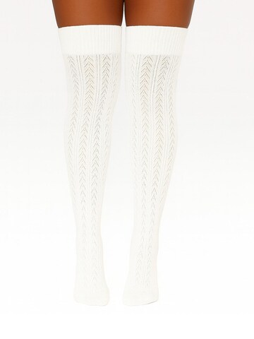 Lycille Over the Knee Socks in White: front