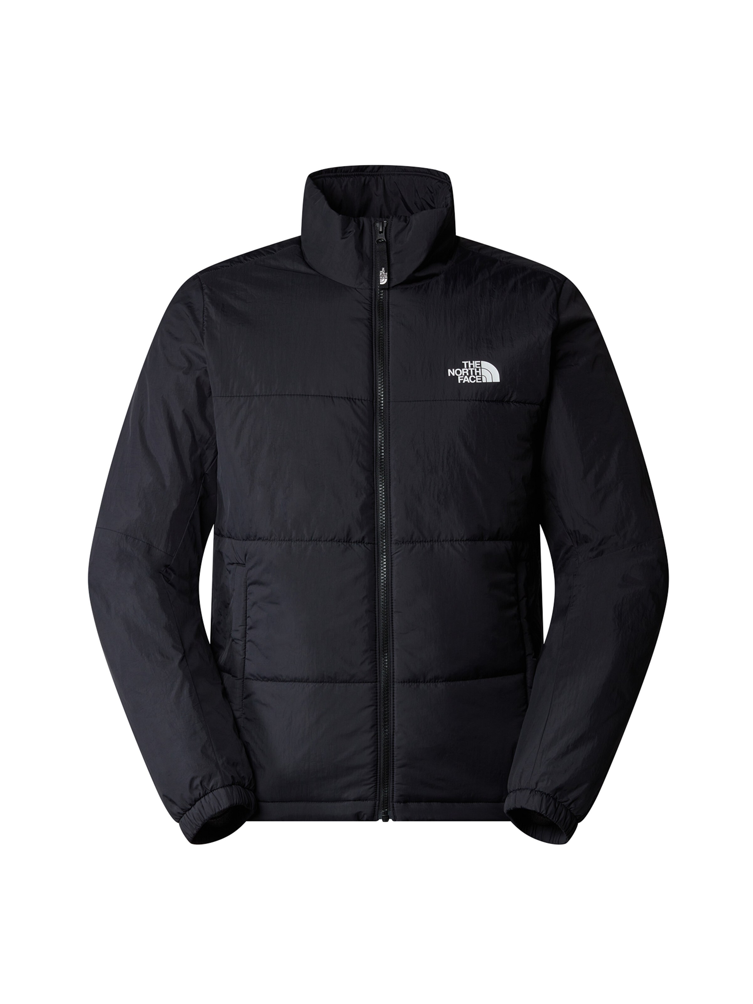 Giacca invernale uomo north face cheap
