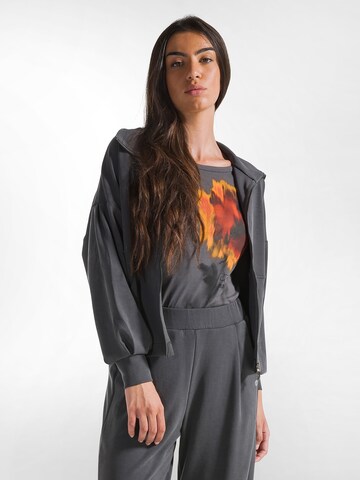 regular Pantaloni di DEHA in grigio