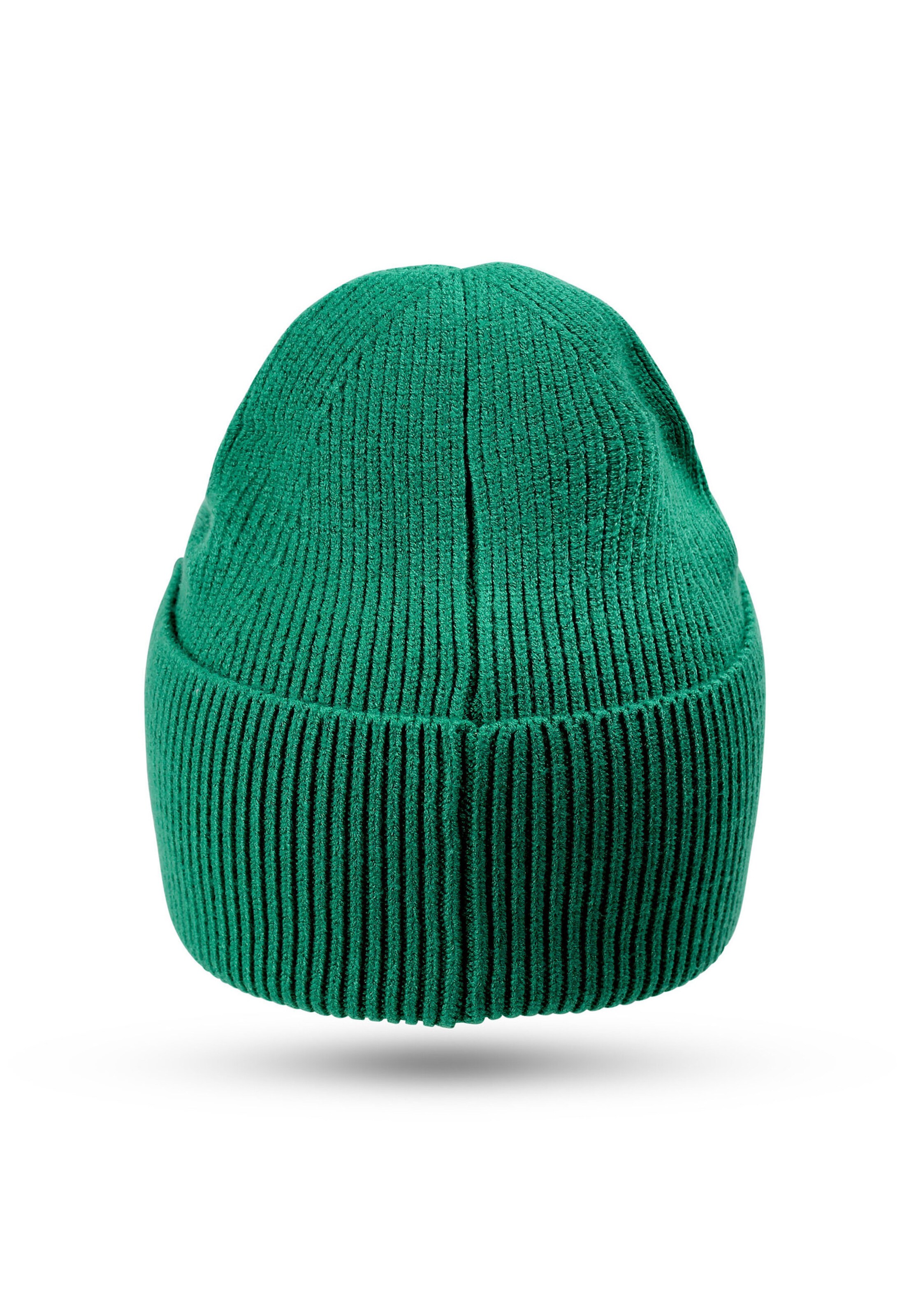DJINNS Mütze in Grün