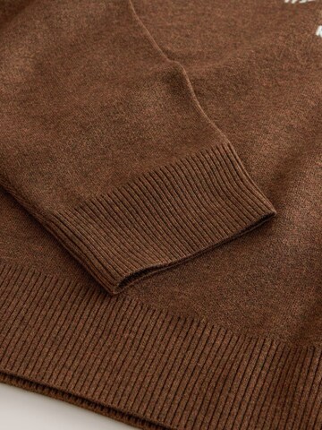 Next Sweater in Brown