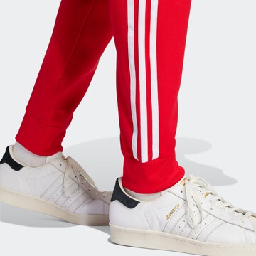 ADIDAS ORIGINALS Zwężany krój Spodnie 'Adicolor Classics Sst' w kolorze czerwony