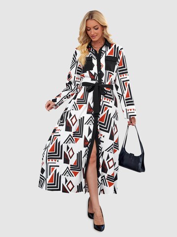 LapaPlus Shirt Dress in Mixed colors: front