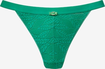 VIVANCE - Cueca em verde: frente