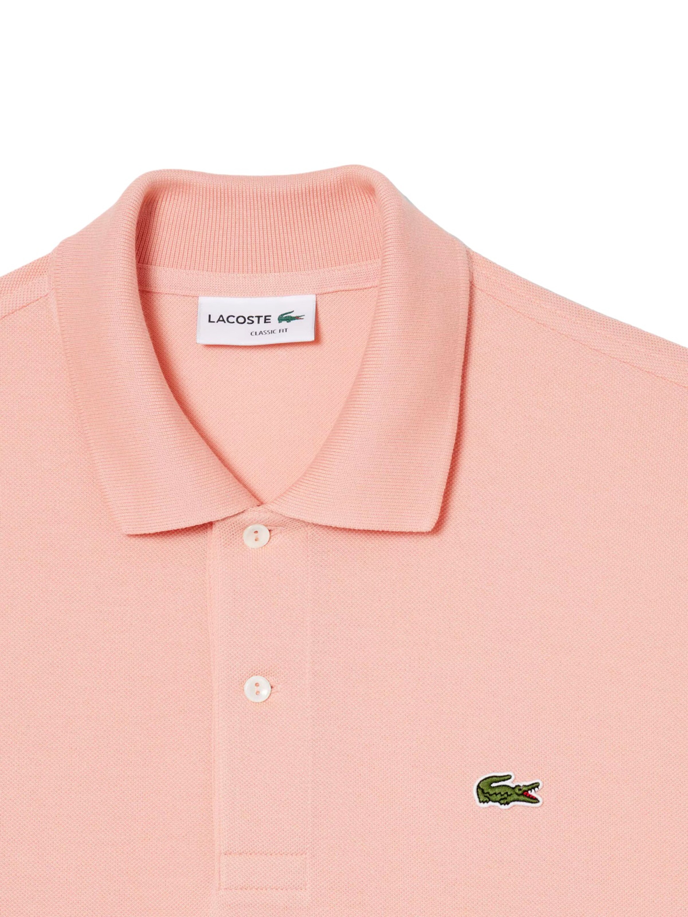 LACOSTE Regular fit Shirt in Pink