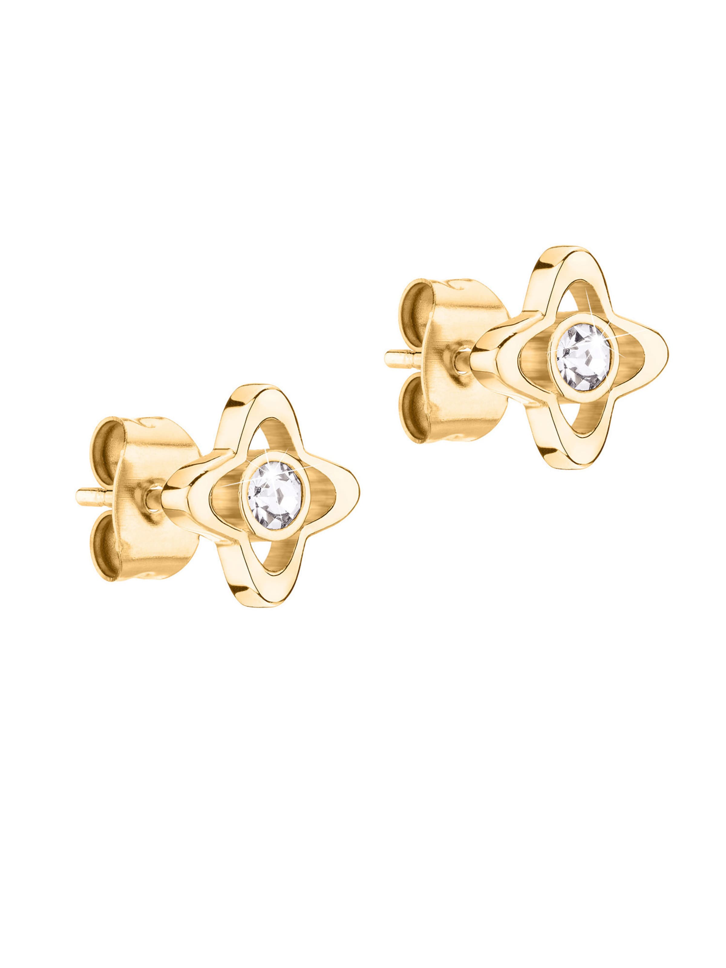 Apple of Eden Ohrringe in Gold: Vorderseite