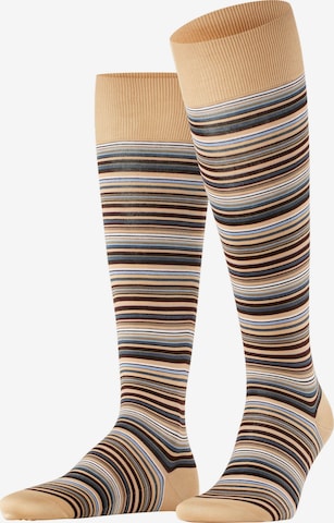 FALKE Kniestrümpfe 'Microblock' in Braun: Vorderseite