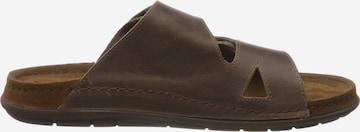 ROHDE Mules in Brown