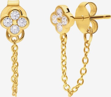 Lucardi Oorbellen in Goud: voorkant