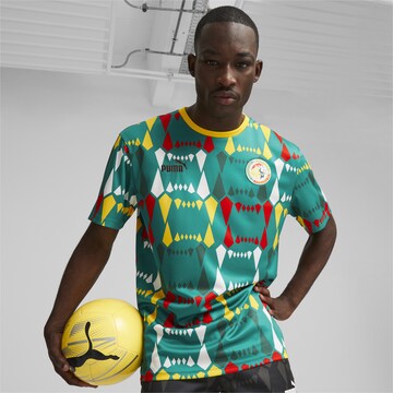PUMA Functioneel shirt 'Senegal' in Groen: voorkant